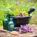 métiers de la naturopathie