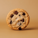 meilleur contenant cookie maison